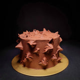 Cake of Dark Chocolate & Stout